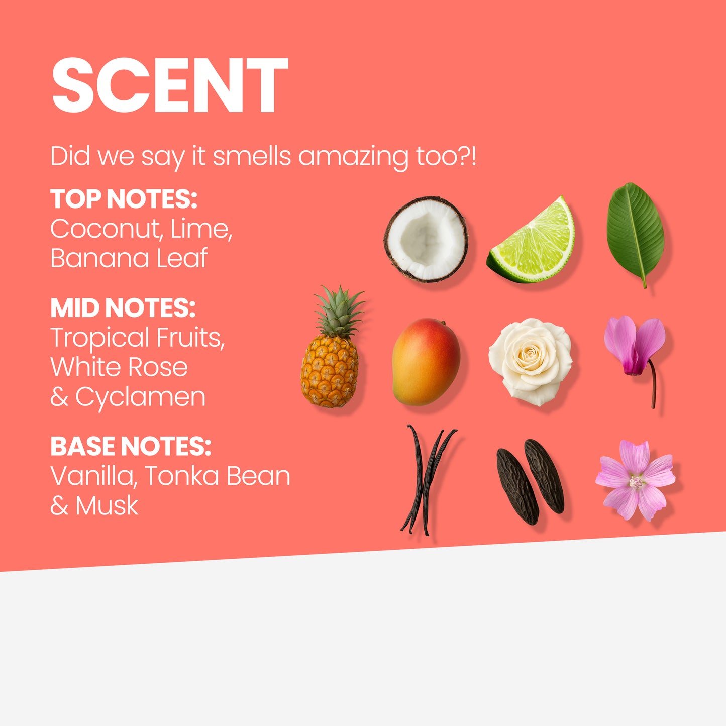 MIRACLE HAIR TREATMENT OIL ELIXIR